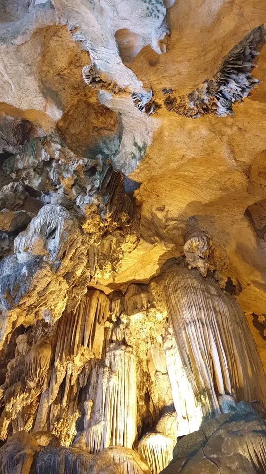 Protei nelle grotte di Postumia